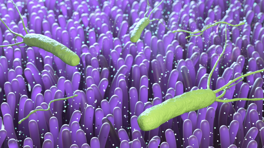 Królowa podstępu – Helicobacter pylori